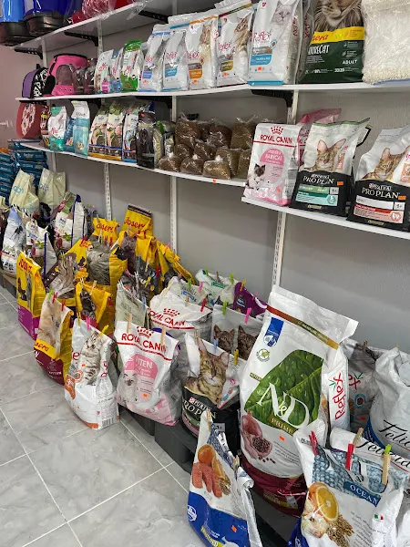 Patilerin Dükkanı | PETSHOP foto 2