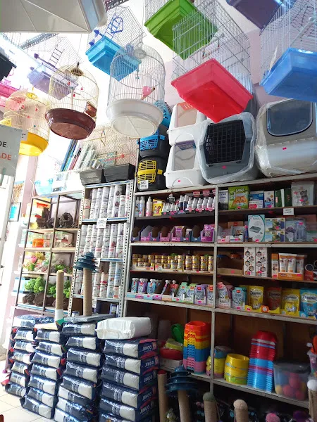 Botanik Akvaryum & petshop foto 2