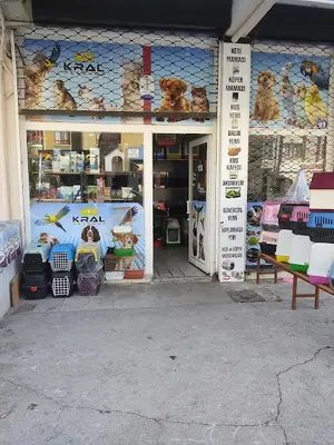 Kral petshop