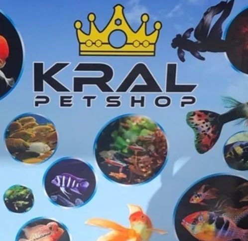 Kral petshop foto 2