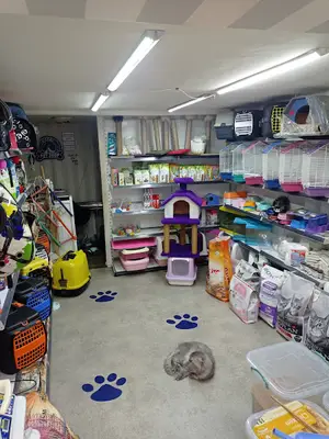 Hazal Petshop