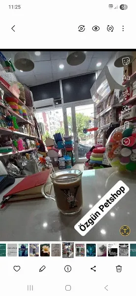 Özgün petshop foto 2