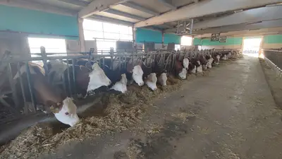 Umuşaslan&saçvetürbantasarımı