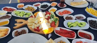 Şahin Tepesi Kahvaltı ve Restourant & Bungalov evleri
