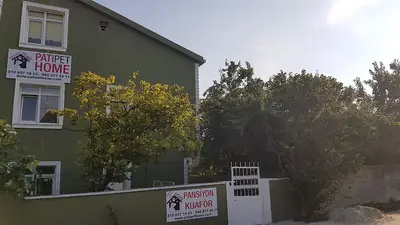 Patipet Home