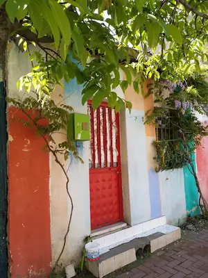 Kus Pazari