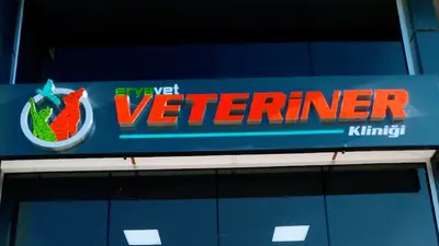 ERYAVET VETERİNER KLİNİĞİ ERYAMAN