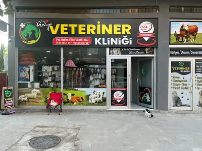 ÜNYE VETERİNER KLİNİĞİ