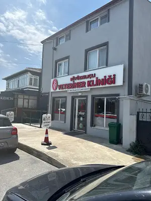 Silivri Büyükkılıçlı veteriner kliniği