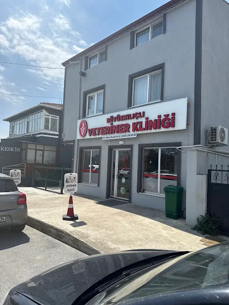 Silivri Büyükkılıçlı veteriner kliniği foto 1