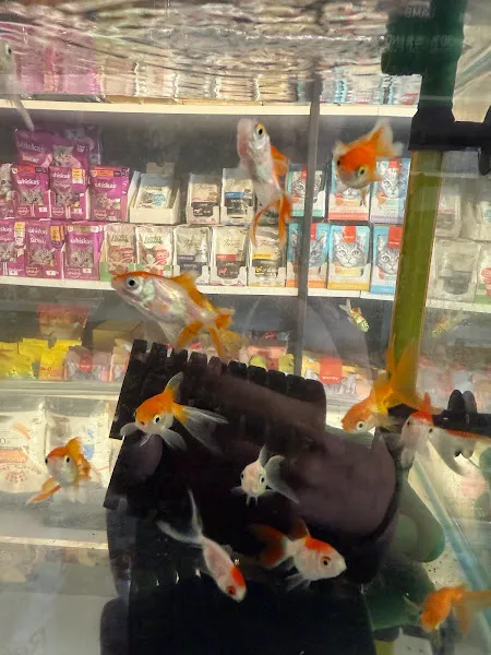 Zıpır Pet Shop foto 2