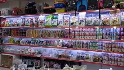Fatih PetShop