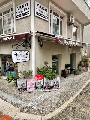 Es Mama Evi