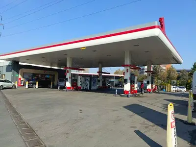 A 101