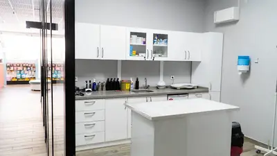 VETHELP VETERİNER KLİNİĞİ