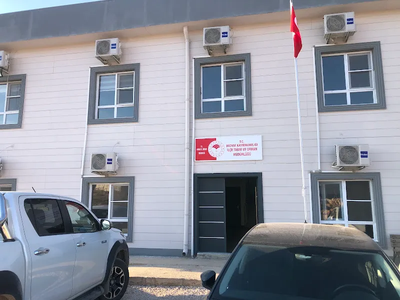 Midyat İlçe Tarım ve Orman Müdürlüğü Ek Bina foto 2