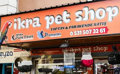 İkra petshop