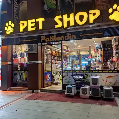 Patilendin petshop 2