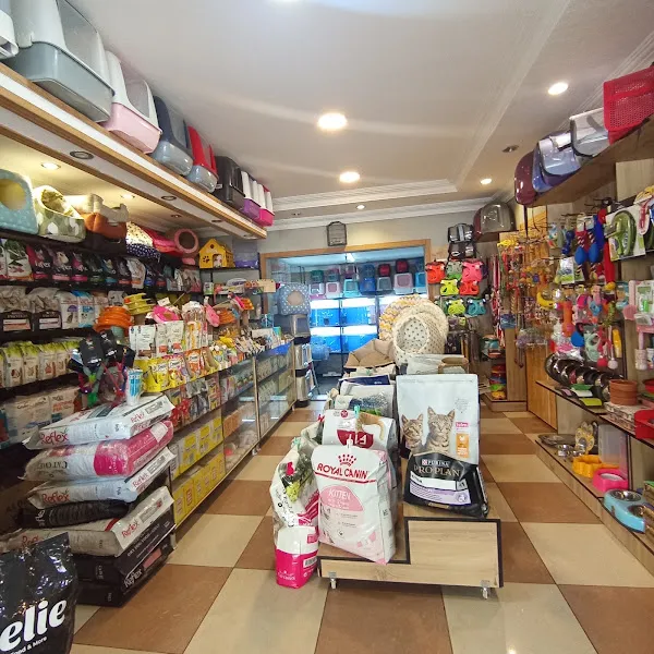 Patilendin petshop 2 foto 2