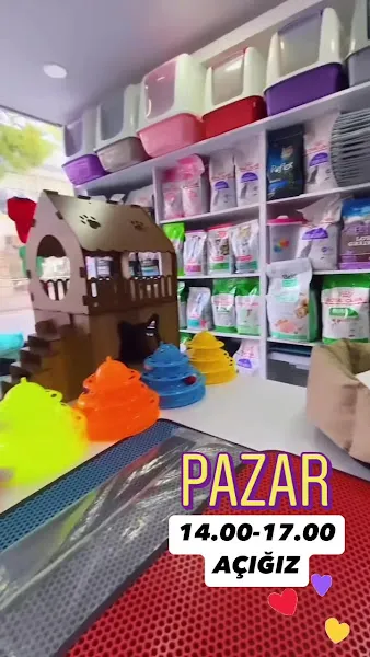 Mavi Kelebek Pet House foto 2