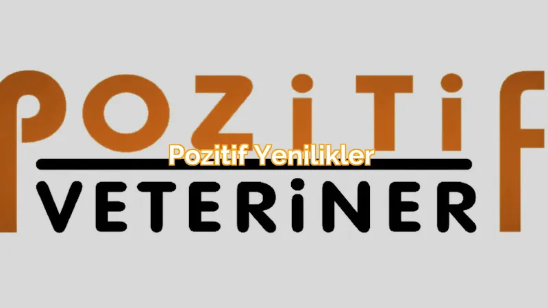 Pozitif Veteriner Kliniği Kayseri foto 2