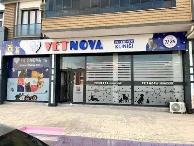 ATAŞEHİR VETERİNER KLİNİĞİ