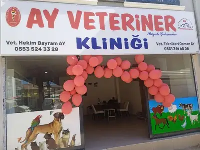 Evliya Veteriner