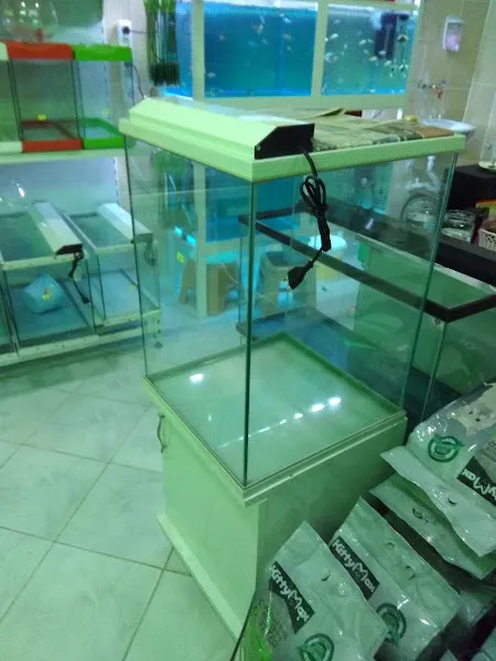 Derince Can Petshop foto 2