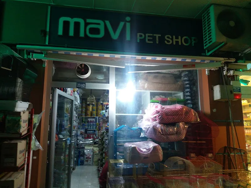 Mavi Pet Shop ve akvaryum dünyası foto 1
