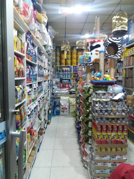 Mavi Pet Shop ve akvaryum dünyası foto 2