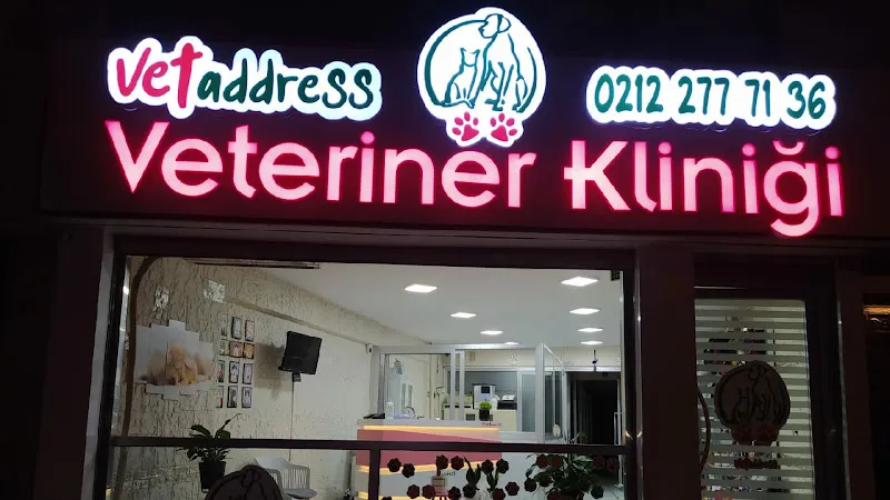 Vetaddress Veteriner Kliniği foto 1