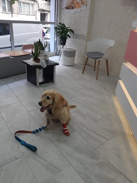 Vetaddress Veteriner Kliniği foto 2
