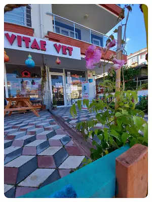 Vitae Veteriner Kliniği / Kleintierpraxis / Pet Clinic