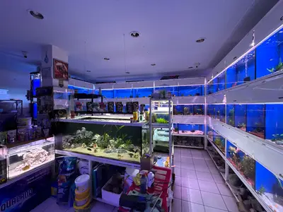 AQUALAND Akvaryum
