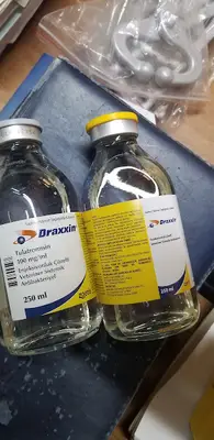 Can Veteriner Kliniği