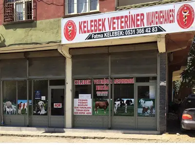 Nurdağı Veteriner Kliniği