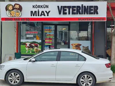 Körkün Miay veteriner Kliniği