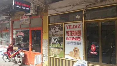 İskenderun Veteriner Kliniği