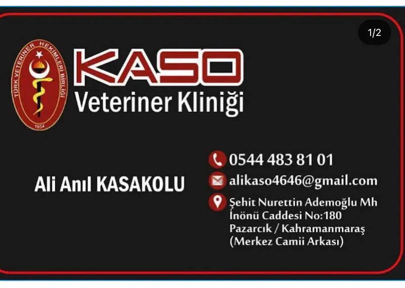Kaso Veteriner Kliniği foto 1