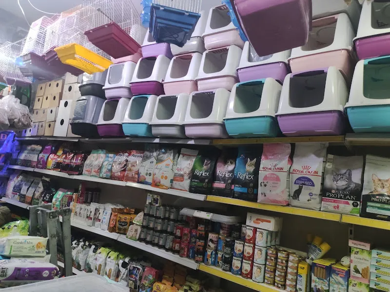 EMPATİ PETSHOP foto 2