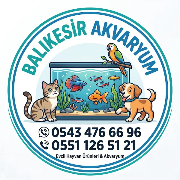 BALIKESİR AKVARYUM PETSHOP foto 1