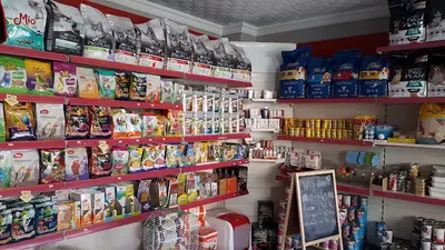 Onur PETSHOP