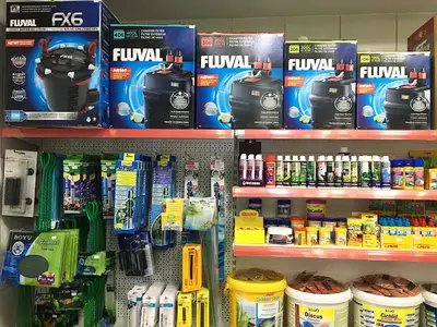 Mavi akvaryum & Pet Shop