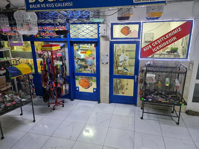 Mavi akvaryum & Pet Shop foto 2