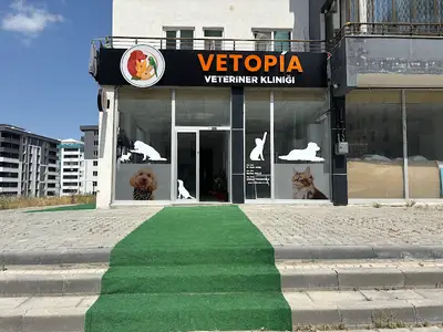 Vetopia Veteriner Kliniği