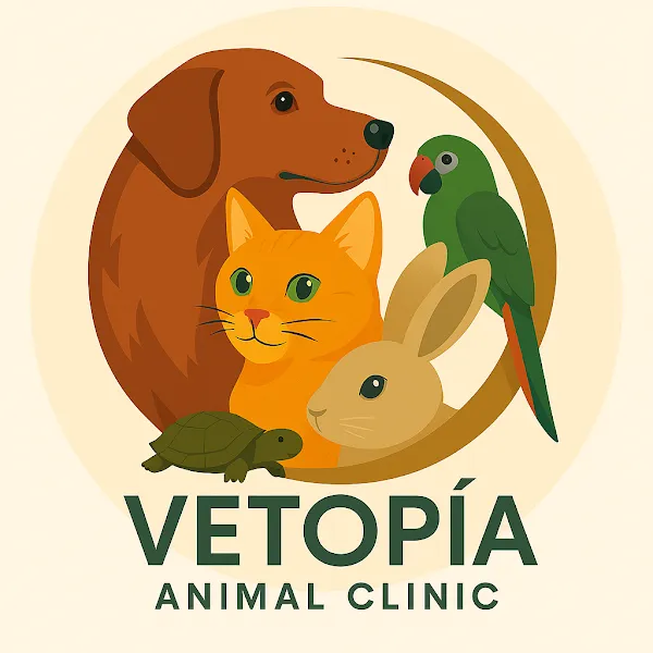 Vetopia Veteriner Kliniği foto 2