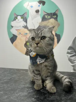Vetparta Veteriner Kliniği - Isparta