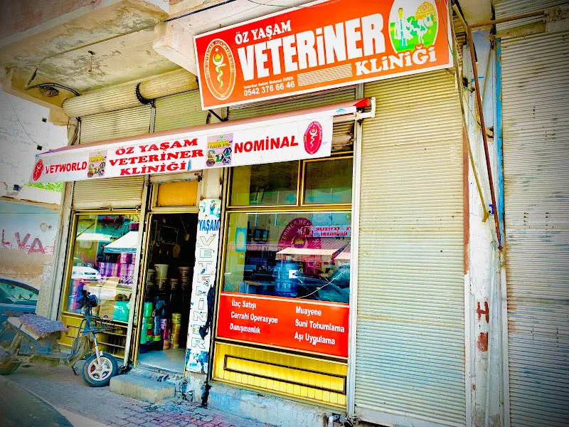 Beyazkaya veteriner kliniği foto 2
