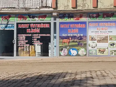 Vet-73 Aricilik