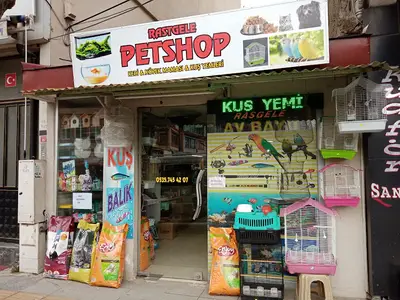 Rastgele petshop